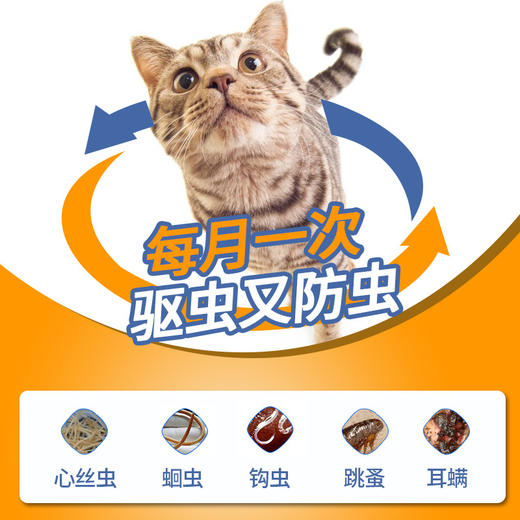【新人专享】猫用驱虫药大合集（爱沃克/海乐妙/拜宠清/大宠爱/福来恩） 商品图1