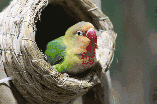 640_426gif 动态图 动图