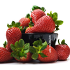 红颜草莓 优选品种 蜂媒授粉 无农残无添加 有机肥天然生态种植 商品缩略图10