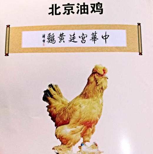 鸡 和 蛋 全品类 商品图1