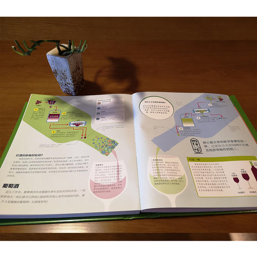 人类食物百科(全彩) 商品图4