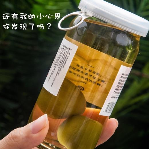 夕凉的猫梅子酒2瓶|出口日本大青梅，酸甜果香 商品图3