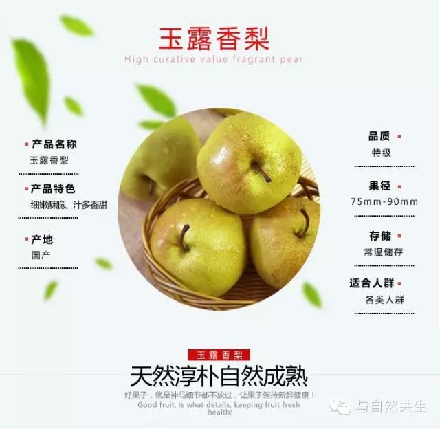 正宗山西隰县玉露香梨2枚份