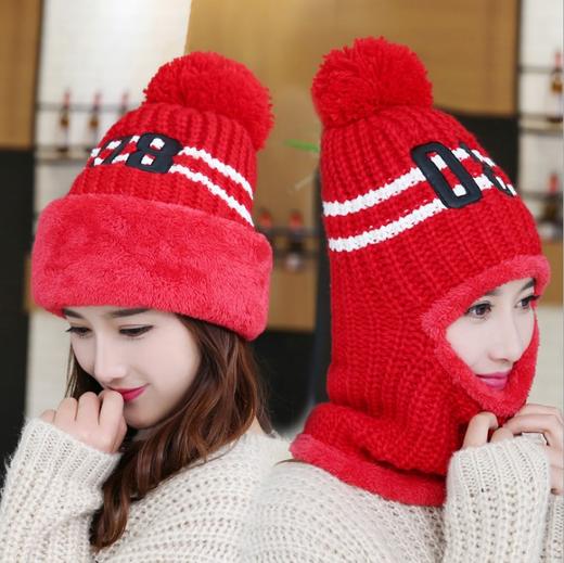 LN-新款女士毛线帽韩版加绒保暖针织帽 商品图2