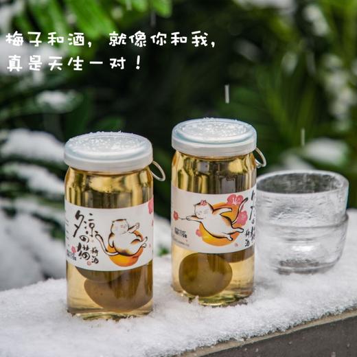 夕凉的猫梅子酒2瓶|出口日本大青梅，酸甜果香 商品图2