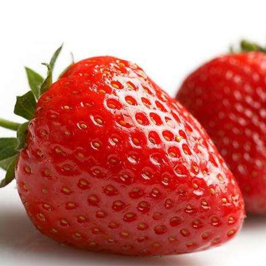 红颜草莓 优选品种 蜂媒授粉 无农残无添加 有机肥天然生态种植 商品图8