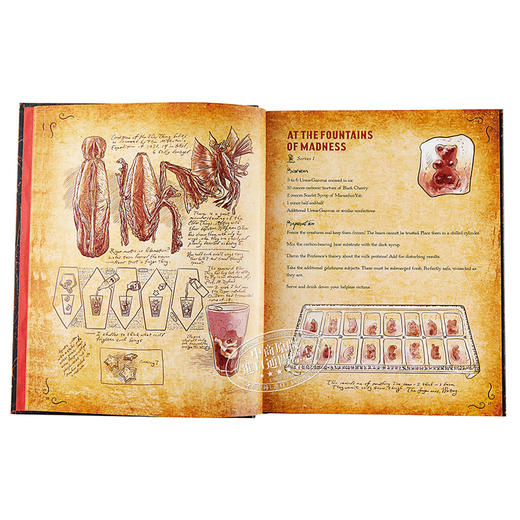 预售 【中商原版】暗黑料理：洛夫克拉夫特传说中的食谱和仪式 英文原版 The Necronomnomnom: Recipes and Rites 食谱 商品图4