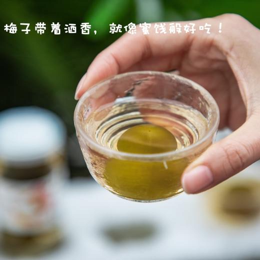 夕凉的猫梅子酒2瓶|出口日本大青梅，酸甜果香 商品图1