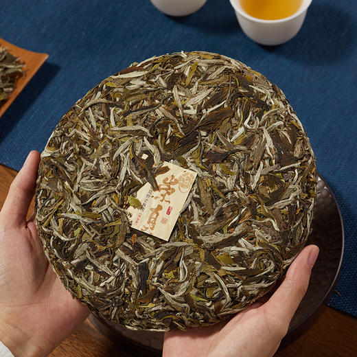 家天下丨2019年 50年荒野老枞白牡丹 崇真 300g/饼 商品图2
