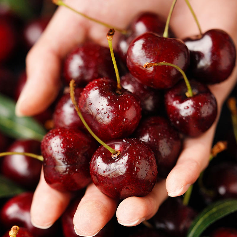 澳洲车厘子 1kg regina