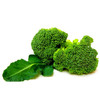 西兰花 商品缩略图1