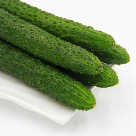 刺黄瓜 商品图0