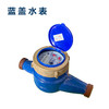 山东信翔 LXS-15E 水表（蓝盖） 商品缩略图0