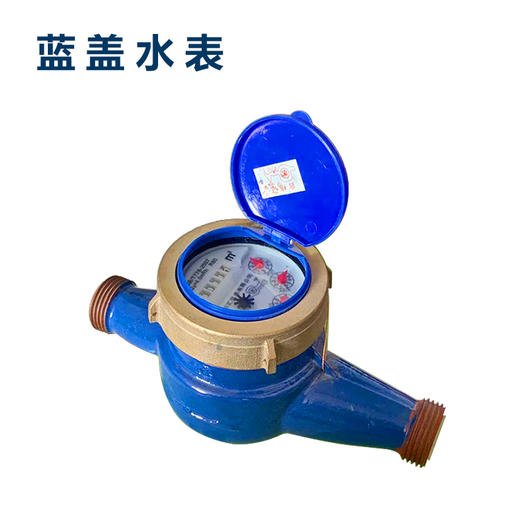 山东信翔 LXS-15E 水表（蓝盖） 商品图0