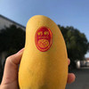 🥭炒鸡好的水仙芒，芒果中的极品，香如清雅的水仙花🌸咬下去丰盈的水分和甜蜜的味道刺激着味蕾，是每一个姑娘心中的圣果。6只精装 商品缩略图10