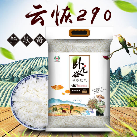 【红河卧龙谷】原谷软米  5.0kg/装 商品图5