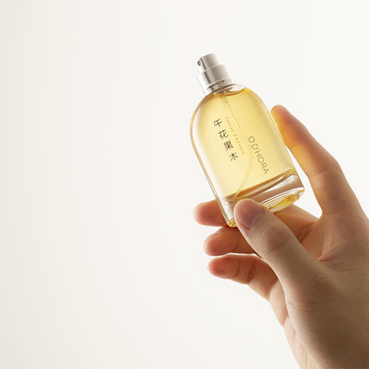520系列2H50PM 午花果木 Santal Embrace 50ML 商品图3