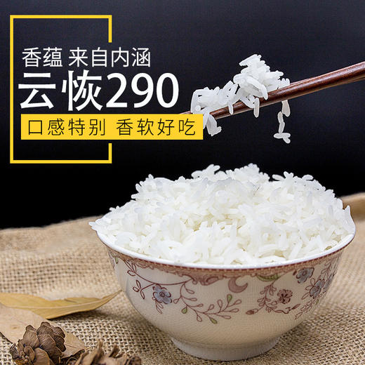 【红河卧龙谷】原谷软米  5.0kg/装 商品图4