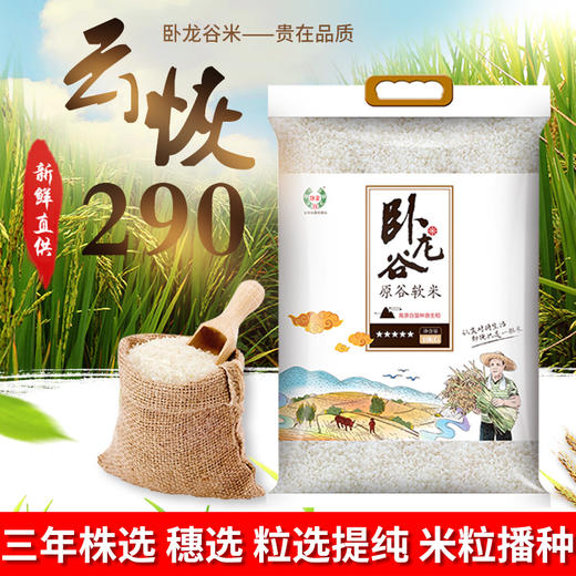 红河卧龙谷云恢290富硒米10公斤装 商品图0