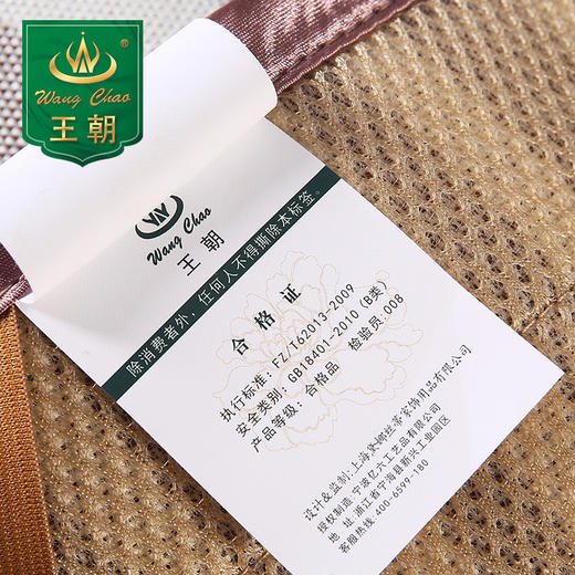 王朝碳纤维简约风尚 (蓝紫色) 商品图3