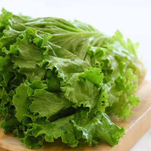 生菜 商品图0