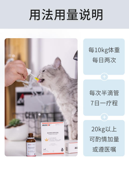 拜卡猫咪兽药级维生素b口炎猫藓可用30ml 商品图3