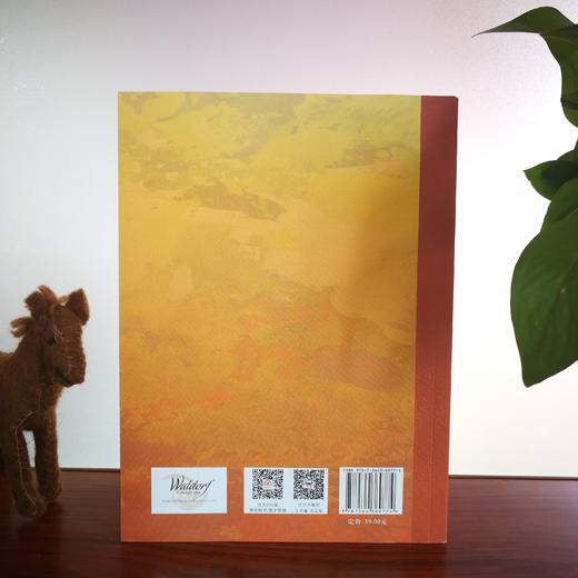 一场穿越时空的探险：原来孩子可以这样学历史 商品图2