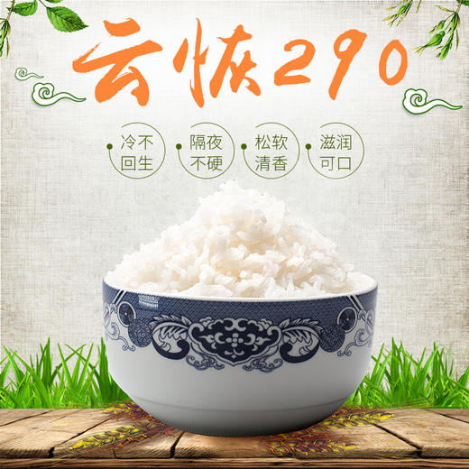 红河卧龙谷云恢290富硒米10公斤装 商品图2