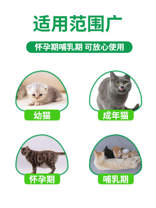 福来恩猫咪狗狗体外驱虫滴剂单支装 商品图1