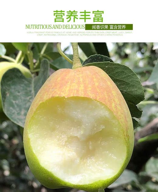正宗新疆库尔勒香梨全母梨 清香脆甜带箱14斤左右一箱 商品图1