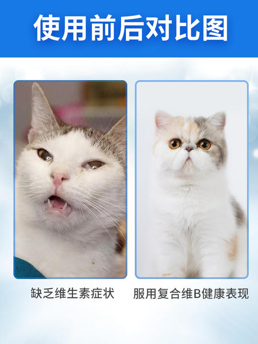 拜卡猫咪兽药级维生素b口炎猫藓可用30ml 商品图2