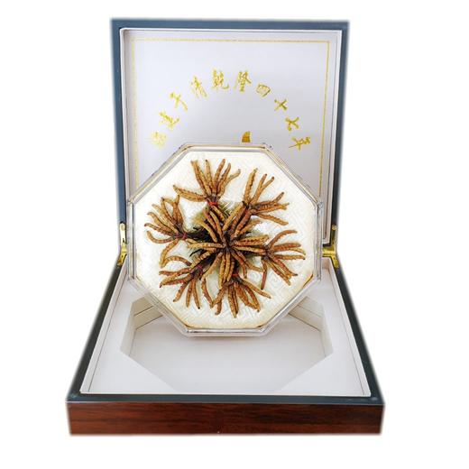 余天成冬虫夏草（普一20克） 商品图0