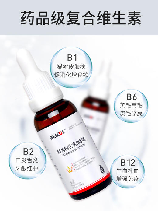 拜卡猫咪兽药级维生素b口炎猫藓可用30ml 商品图1