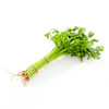 本地青杆芹菜 商品缩略图3