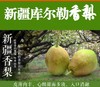 正宗新疆库尔勒香梨全母梨 清香脆甜带箱14斤左右一箱 商品缩略图0