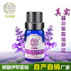 薰衣草单方精油 10ml*瓶 商品缩略图1