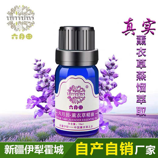 薰衣草单方精油 10ml*瓶 商品图1