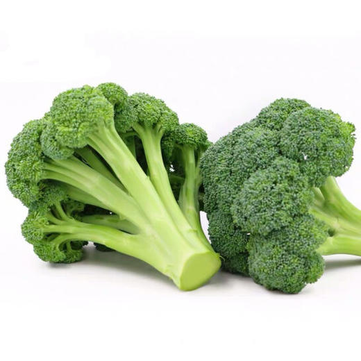 西兰花 商品图0