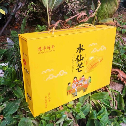 🥭炒鸡好的水仙芒，芒果中的极品，香如清雅的水仙花🌸咬下去丰盈的水分和甜蜜的味道刺激着味蕾，是每一个姑娘心中的圣果。6只精装 商品图6