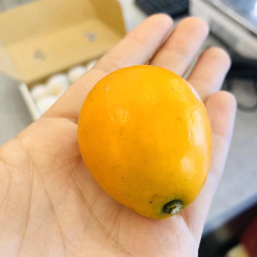 匠心级蜜蛋6a最大号果甜嫩多汁皮超薄生津止渴回味清冽润肺利咽