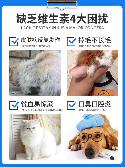 拜卡猫咪兽药级维生素b口炎猫藓可用30ml 商品图4