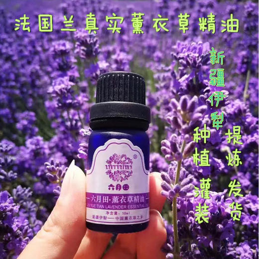 薰衣草单方精油 10ml*瓶 商品图0