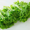 生菜 商品缩略图3