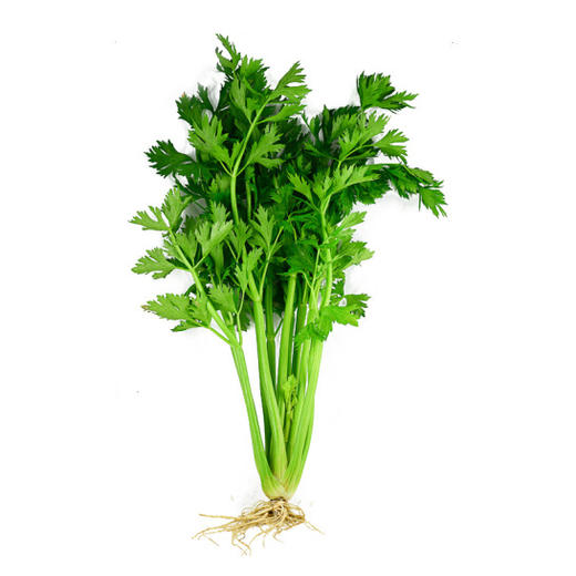 本地青杆芹菜 商品图0