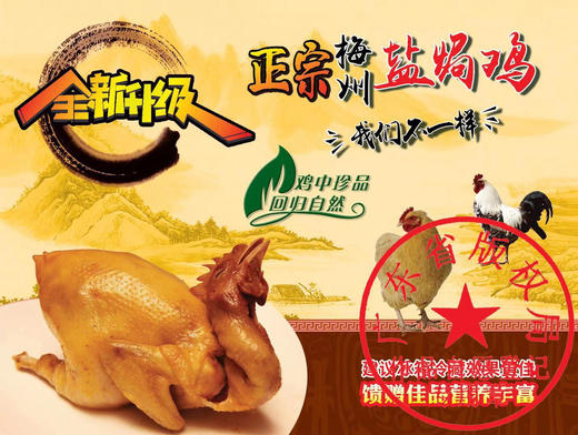 梅州盐焗鸡/只 商品图5