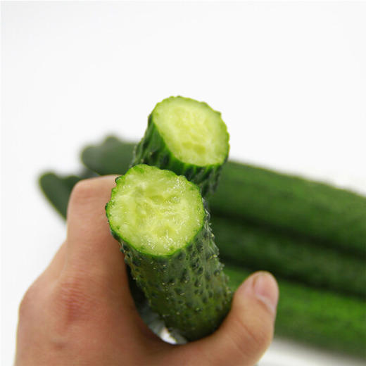 刺黄瓜 商品图4