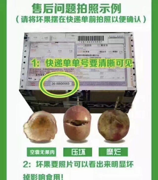 海南凤梨释迦 商品图5