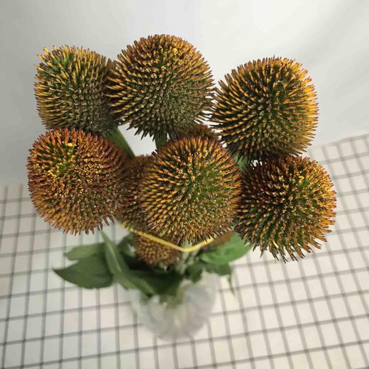 猫眼（大花） 商品图4