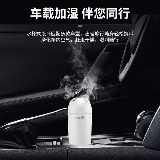 Feliztrip斐利斯 仿生无线双喷加湿器纳米雾化无水自动断电氛围夜灯5小时持续喷雾 TR-SH015 商品图1