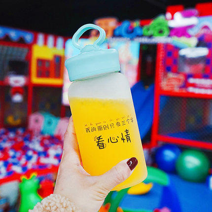 磨砂玻璃杯创意时尚可爱小杯子居家日用便携女学生水杯花茶 商品图7